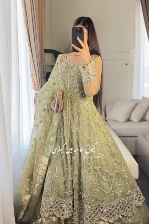 🌟 Luxury Pastel Green Hand-Embroidered Net Anarkali Dress with Intricate Silver Zari, Pearl, and Sequin Detailing, Paired with Matching Organza Dupatta and Jacquard Lehenga Lining 🌟